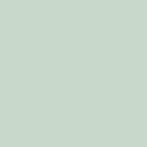 Uni-Farbe AF-NE54 Clean Mint