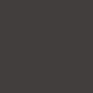 Uni-Farbe AF-NE80 Graphit