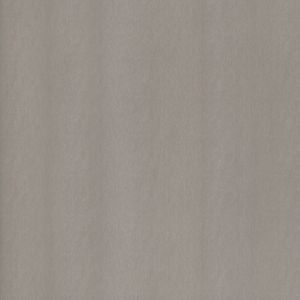Metallisch AF-NE51 Champagne Silver