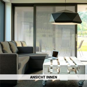 Sonnenschutzfolie innen SOL‑si05 silver 05