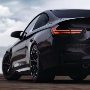 Panthera 285C schwarz