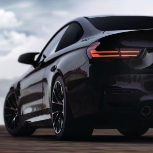 Panthera 298C tiefschwarz