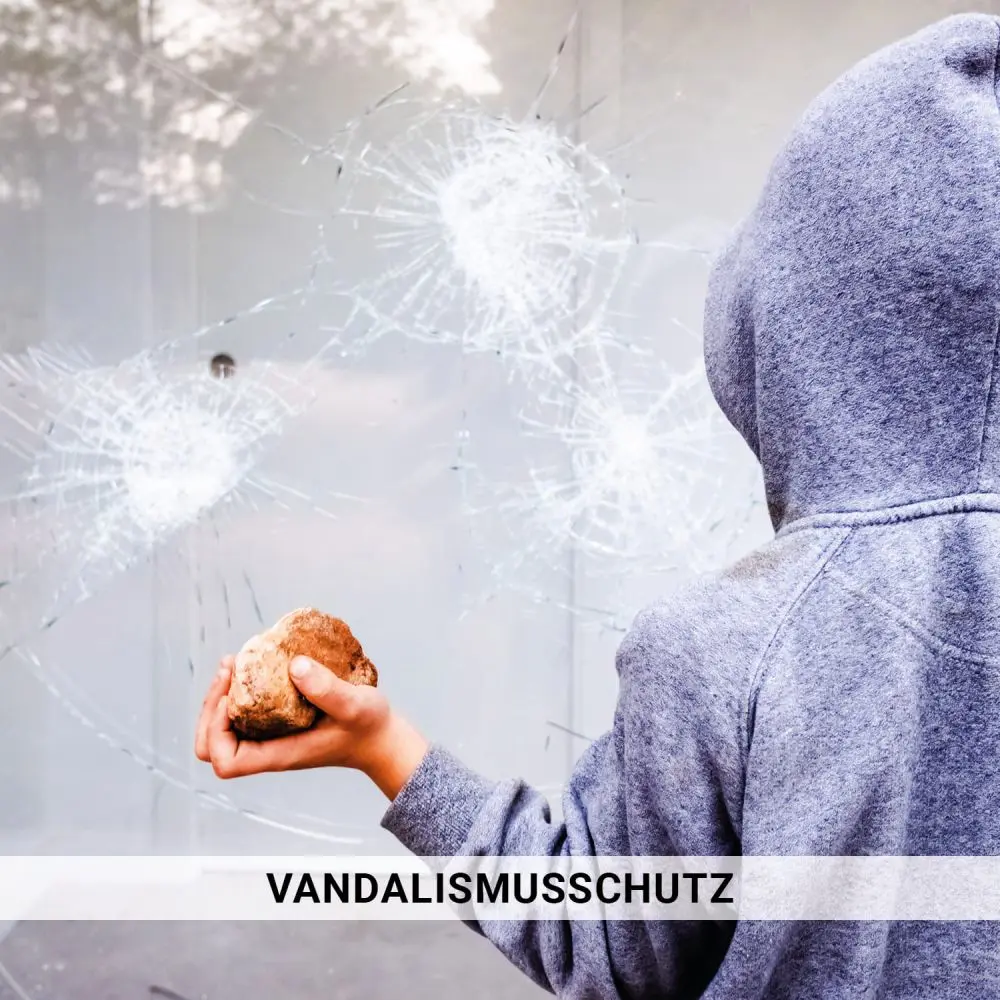 Splitterschutzfolie innen Safe-7mil 175my