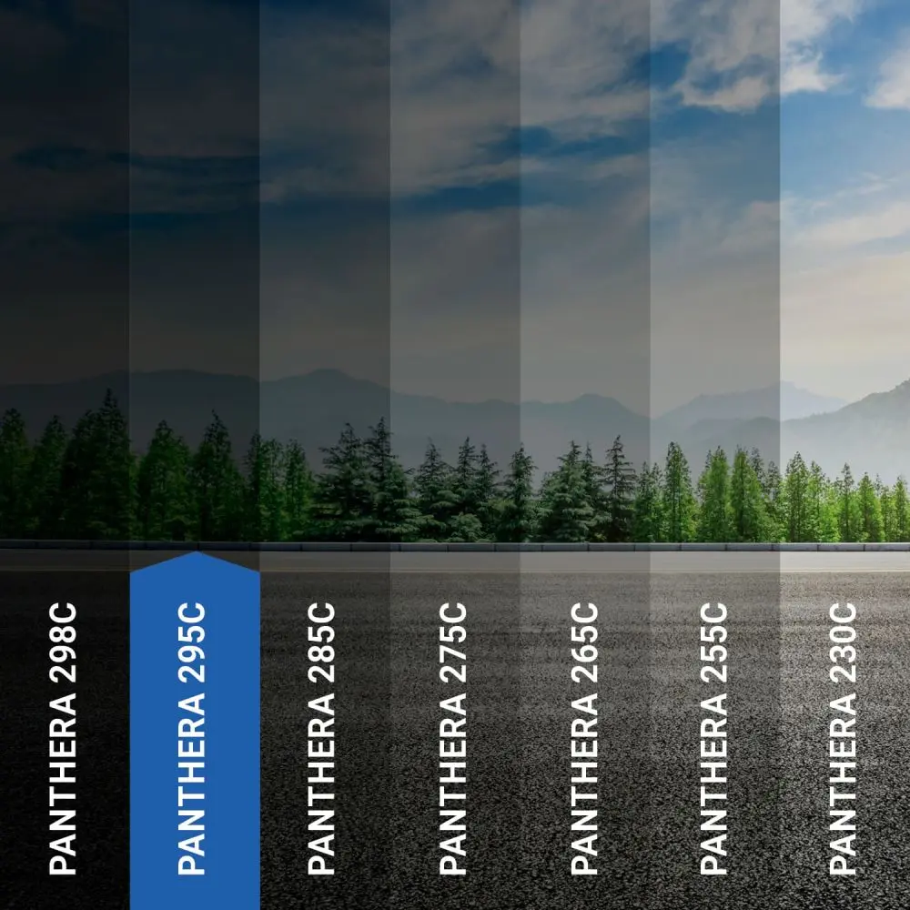 Panthera 295C tiefschwarz